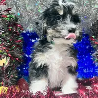 processed/c865317f-5552-4116-9d67-1710d93ef40f/facility/87f52a58-c1e4-4bbe-af2b-229ecc117912