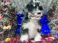 processed/c865317f-5552-4116-9d67-1710d93ef40f/facility/87f52a58-c1e4-4bbe-af2b-229ecc117912