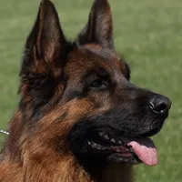 processed/c865317f-5552-4116-9d67-1710d93ef40f/facility/88b053b8-6c72-4b46-9857-92d998480778