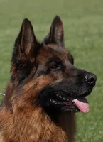 processed/c865317f-5552-4116-9d67-1710d93ef40f/facility/88b053b8-6c72-4b46-9857-92d998480778