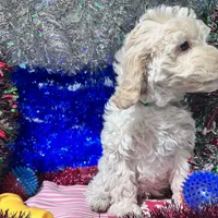 processed/c865317f-5552-4116-9d67-1710d93ef40f/facility/b40d41c6-d7fa-4839-a514-d6c0d995d369