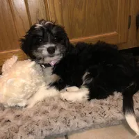 processed/c865317f-5552-4116-9d67-1710d93ef40f/facility/c21fd8aa-17c6-4010-9b5e-ed530d1654d7