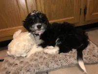 processed/c865317f-5552-4116-9d67-1710d93ef40f/facility/c21fd8aa-17c6-4010-9b5e-ed530d1654d7