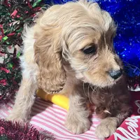 processed/c865317f-5552-4116-9d67-1710d93ef40f/facility/c2c8b47b-db69-467a-a18f-4466b4592f7d