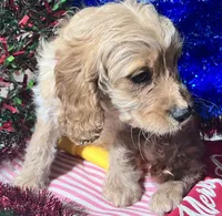 processed/c865317f-5552-4116-9d67-1710d93ef40f/facility/c2c8b47b-db69-467a-a18f-4466b4592f7d