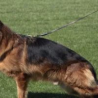 processed/c865317f-5552-4116-9d67-1710d93ef40f/facility/d6dd7d1b-4903-4833-85ee-a6408fc2fb08