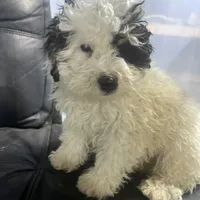 processed/c865317f-5552-4116-9d67-1710d93ef40f/facility/dbcfc9ff-fbb5-40ee-a7a9-9316127de9ed