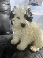 processed/c865317f-5552-4116-9d67-1710d93ef40f/facility/dbcfc9ff-fbb5-40ee-a7a9-9316127de9ed