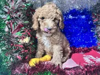 processed/c865317f-5552-4116-9d67-1710d93ef40f/facility/e5b62587-2613-448e-875a-6d30acb1b029