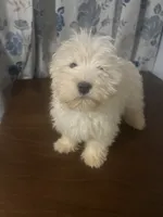 processed/c865317f-5552-4116-9d67-1710d93ef40f/listing/17a12b48-4973-495a-9258-952193fd85a9/0937225a-a15f-4e6a-886a-932943dd8ceb