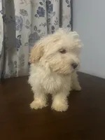 processed/c865317f-5552-4116-9d67-1710d93ef40f/listing/17a12b48-4973-495a-9258-952193fd85a9/592bf1b7-c7eb-481c-a9e6-63c59777ed90