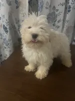 processed/c865317f-5552-4116-9d67-1710d93ef40f/listing/17a12b48-4973-495a-9258-952193fd85a9/b2d96903-0845-42c2-b206-d28a01400822