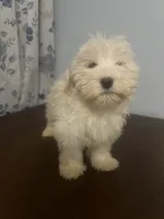 processed/c865317f-5552-4116-9d67-1710d93ef40f/listing/17a12b48-4973-495a-9258-952193fd85a9/ef273fa7-c21c-4439-9981-75e55d2d2e31