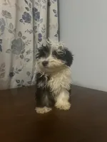 processed/c865317f-5552-4116-9d67-1710d93ef40f/listing/3289e128-45cc-4cf9-a5ea-d983ed7a9c8c/0600ec2a-df53-4e5a-8fc7-7a59a2b1b14a