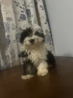 processed/c865317f-5552-4116-9d67-1710d93ef40f/listing/3289e128-45cc-4cf9-a5ea-d983ed7a9c8c/35216324-6124-48d1-92aa-05e721dfa8c4