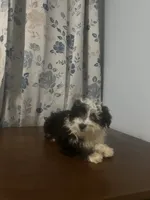 processed/c865317f-5552-4116-9d67-1710d93ef40f/listing/3289e128-45cc-4cf9-a5ea-d983ed7a9c8c/36d6105c-f9e2-4118-aee3-b9ca833741bf