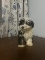 processed/c865317f-5552-4116-9d67-1710d93ef40f/listing/3289e128-45cc-4cf9-a5ea-d983ed7a9c8c/9205e292-7992-43a1-88b5-97e0c503b494