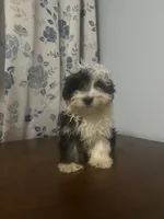 processed/c865317f-5552-4116-9d67-1710d93ef40f/listing/3289e128-45cc-4cf9-a5ea-d983ed7a9c8c/b5d85084-d844-418c-b6f5-d5f5bcb93de4