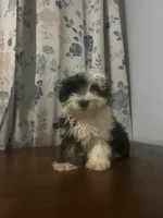 processed/c865317f-5552-4116-9d67-1710d93ef40f/listing/3289e128-45cc-4cf9-a5ea-d983ed7a9c8c/b843a24e-c61c-4180-9fef-d1cc4f6d3ae0