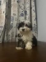 processed/c865317f-5552-4116-9d67-1710d93ef40f/listing/3289e128-45cc-4cf9-a5ea-d983ed7a9c8c/dea4681d-ddad-4b32-9943-fed60eb5cc57