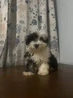 processed/c865317f-5552-4116-9d67-1710d93ef40f/listing/3289e128-45cc-4cf9-a5ea-d983ed7a9c8c/f4af5940-b386-4999-8fa0-ff4f0346d8a7