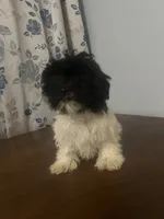 processed/c865317f-5552-4116-9d67-1710d93ef40f/listing/5651e6bc-9c3d-454b-9766-6e5e70f94792/04b5de4c-b878-4703-b927-292340534331