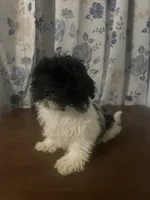 processed/c865317f-5552-4116-9d67-1710d93ef40f/listing/5651e6bc-9c3d-454b-9766-6e5e70f94792/1a744e77-cc34-4dd6-9006-92d7496a7684