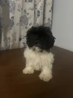 processed/c865317f-5552-4116-9d67-1710d93ef40f/listing/5651e6bc-9c3d-454b-9766-6e5e70f94792/1b01905b-474d-4445-98a9-8c436674f595