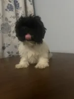 processed/c865317f-5552-4116-9d67-1710d93ef40f/listing/5651e6bc-9c3d-454b-9766-6e5e70f94792/3390c51f-9765-4d14-ad02-684dafc37395