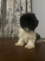 processed/c865317f-5552-4116-9d67-1710d93ef40f/listing/5651e6bc-9c3d-454b-9766-6e5e70f94792/3dd4423b-b4cd-4cf6-a8bc-40a13041ccd4