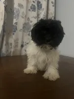 processed/c865317f-5552-4116-9d67-1710d93ef40f/listing/5651e6bc-9c3d-454b-9766-6e5e70f94792/5a3eadd0-3340-4a73-8bc9-790354888701