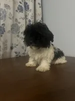 processed/c865317f-5552-4116-9d67-1710d93ef40f/listing/5651e6bc-9c3d-454b-9766-6e5e70f94792/7c705345-6b6f-487b-891f-9f870de9a974