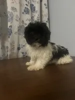 processed/c865317f-5552-4116-9d67-1710d93ef40f/listing/5651e6bc-9c3d-454b-9766-6e5e70f94792/8f307aed-1682-45a1-889e-368be9a6329b