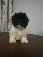 processed/c865317f-5552-4116-9d67-1710d93ef40f/listing/5651e6bc-9c3d-454b-9766-6e5e70f94792/b4998597-105a-4f1f-b9b4-d9412d1cd7c7