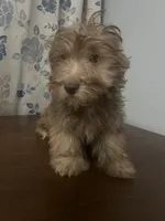 processed/c865317f-5552-4116-9d67-1710d93ef40f/listing/7e113bdf-955a-46eb-91dd-d35e1abdb0e9/3572a5af-dfa2-4a67-aa8e-c2c29dd6c31f