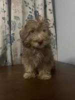 processed/c865317f-5552-4116-9d67-1710d93ef40f/listing/7e113bdf-955a-46eb-91dd-d35e1abdb0e9/9ddb4ba0-93c9-4ae1-ae1a-5662cb3dbd69