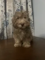 processed/c865317f-5552-4116-9d67-1710d93ef40f/listing/7e113bdf-955a-46eb-91dd-d35e1abdb0e9/a3f17941-69cc-4d73-91ab-1757b40b0d41