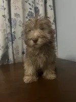 processed/c865317f-5552-4116-9d67-1710d93ef40f/listing/7e113bdf-955a-46eb-91dd-d35e1abdb0e9/ab0a745f-f652-423d-9c7f-bfa5d2dc962b