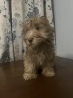 processed/c865317f-5552-4116-9d67-1710d93ef40f/listing/7e113bdf-955a-46eb-91dd-d35e1abdb0e9/c3738737-3d42-4c4a-b3f8-c8717f7bb141