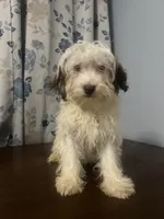 processed/c865317f-5552-4116-9d67-1710d93ef40f/listing/ac1d6e0d-cf08-4039-b1ff-58f132ba6f61/113e0444-8f45-4893-8e66-0ff770ecddb5