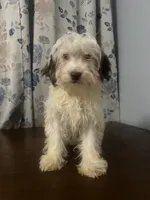 processed/c865317f-5552-4116-9d67-1710d93ef40f/listing/ac1d6e0d-cf08-4039-b1ff-58f132ba6f61/5285bfb3-0110-4c7d-bc35-bcf50844ac05