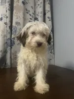 processed/c865317f-5552-4116-9d67-1710d93ef40f/listing/ac1d6e0d-cf08-4039-b1ff-58f132ba6f61/69e8b153-7670-4aa4-b9b6-0b39756dfa44