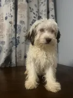 processed/c865317f-5552-4116-9d67-1710d93ef40f/listing/ac1d6e0d-cf08-4039-b1ff-58f132ba6f61/7c1e9000-4e41-4880-b526-321b4e90f1d1