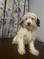 processed/c865317f-5552-4116-9d67-1710d93ef40f/listing/ac1d6e0d-cf08-4039-b1ff-58f132ba6f61/87b30dc1-5f1d-4c92-a449-7f99a262cec1