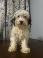 processed/c865317f-5552-4116-9d67-1710d93ef40f/listing/ac1d6e0d-cf08-4039-b1ff-58f132ba6f61/eb59070c-73da-4870-86c4-753e699fec8d