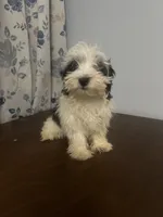 processed/c865317f-5552-4116-9d67-1710d93ef40f/listing/b444d7ca-02a1-41c6-8b66-93c4f32128b3/253258e3-604a-47a1-9ada-f44e2d70fea9