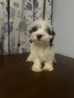 processed/c865317f-5552-4116-9d67-1710d93ef40f/listing/b444d7ca-02a1-41c6-8b66-93c4f32128b3/6d385a1f-4286-4a84-a85c-7767adcc3fab