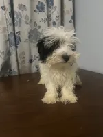 processed/c865317f-5552-4116-9d67-1710d93ef40f/listing/b444d7ca-02a1-41c6-8b66-93c4f32128b3/6ebfdd0a-92bc-4ef9-bbe7-ae8fddbedd38