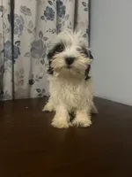 processed/c865317f-5552-4116-9d67-1710d93ef40f/listing/b444d7ca-02a1-41c6-8b66-93c4f32128b3/87c218b6-b8a3-42e4-851b-fba8224197a7