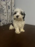 processed/c865317f-5552-4116-9d67-1710d93ef40f/listing/b444d7ca-02a1-41c6-8b66-93c4f32128b3/96d51f85-4ab5-464b-9eed-16e442650598